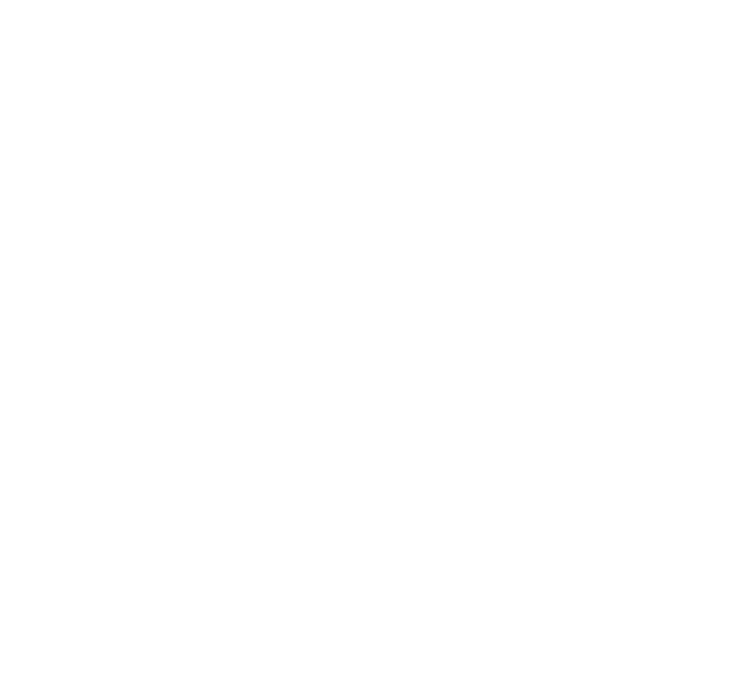 FEG logo
